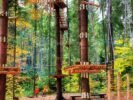 KRYNICA - PARK LINOWY 8