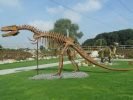 Dream Park Ochaby