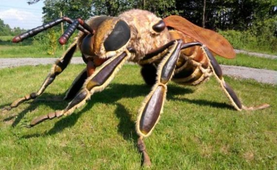 Park Ruchomych Dinozaurów w Ustroniu