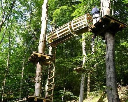 Leśny Park Przygody