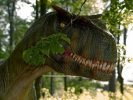 Dinozatorland