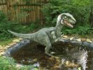 Dinozatorland