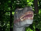Dinozatorland