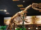 Dinozatorland