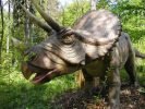 Dinozatorland