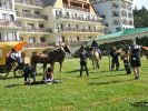 Western City Karpacz