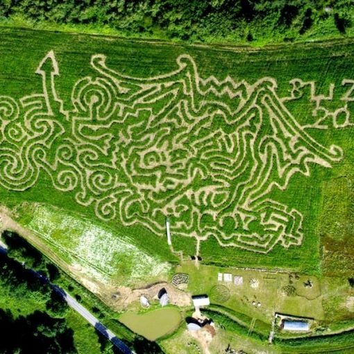 Bliziny Świat Labiryntów