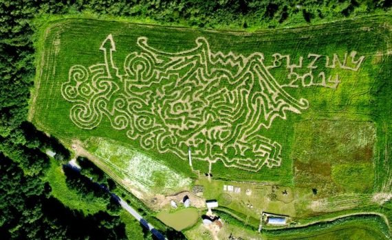 Bliziny Świat Labiryntów