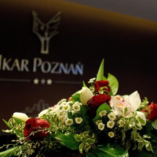 Ikar Hotel