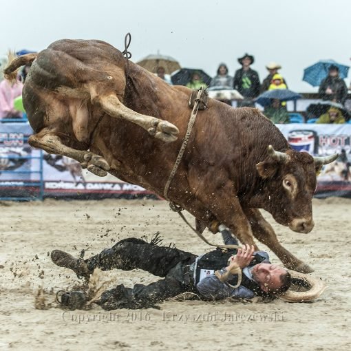 Western City Karpacz