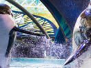 Sea World