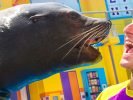 Sea World