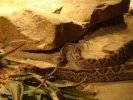 Ogród Zoologiczny