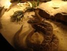 Ogród Zoologiczny