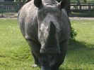 Ogród Zoologiczny