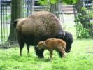 Ogród Zoologiczny