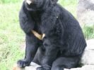 Ogród Zoologiczny