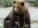 Ogród Zoologiczny
