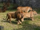Ogród Zoologiczny
