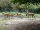 Ogród Zoologiczny