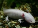 Ogród Zoologiczny