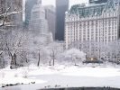 The Plaza